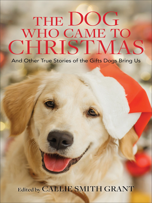 Title details for The Dog Who Came to Christmas by Callie Smith Grant - Available